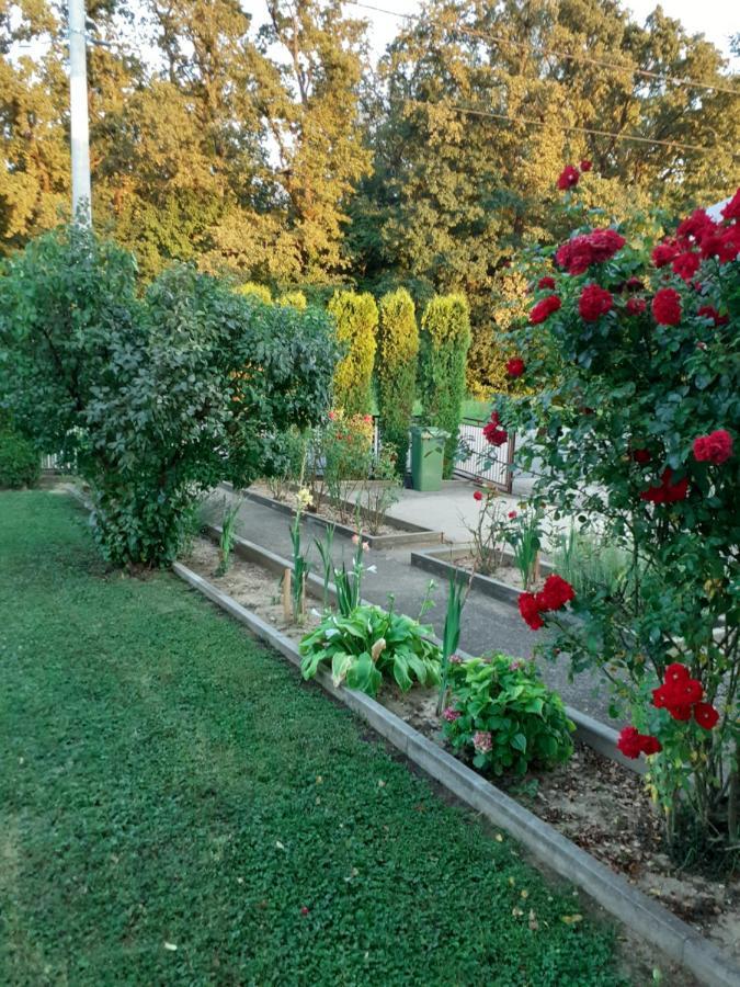 Maja Apartment Velika Gorica Bagian luar foto