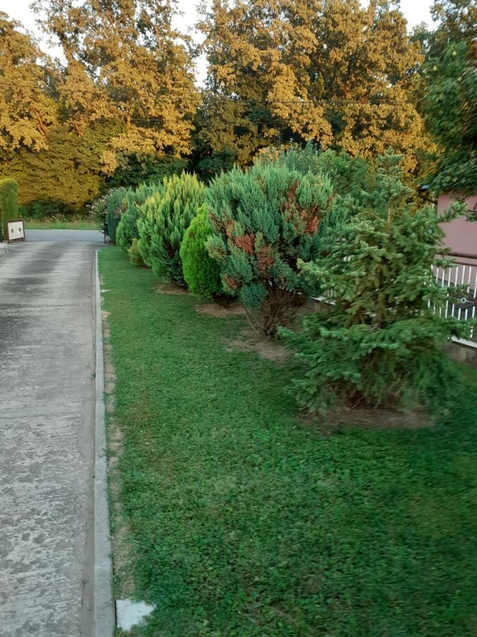 Maja Apartment Velika Gorica Bagian luar foto